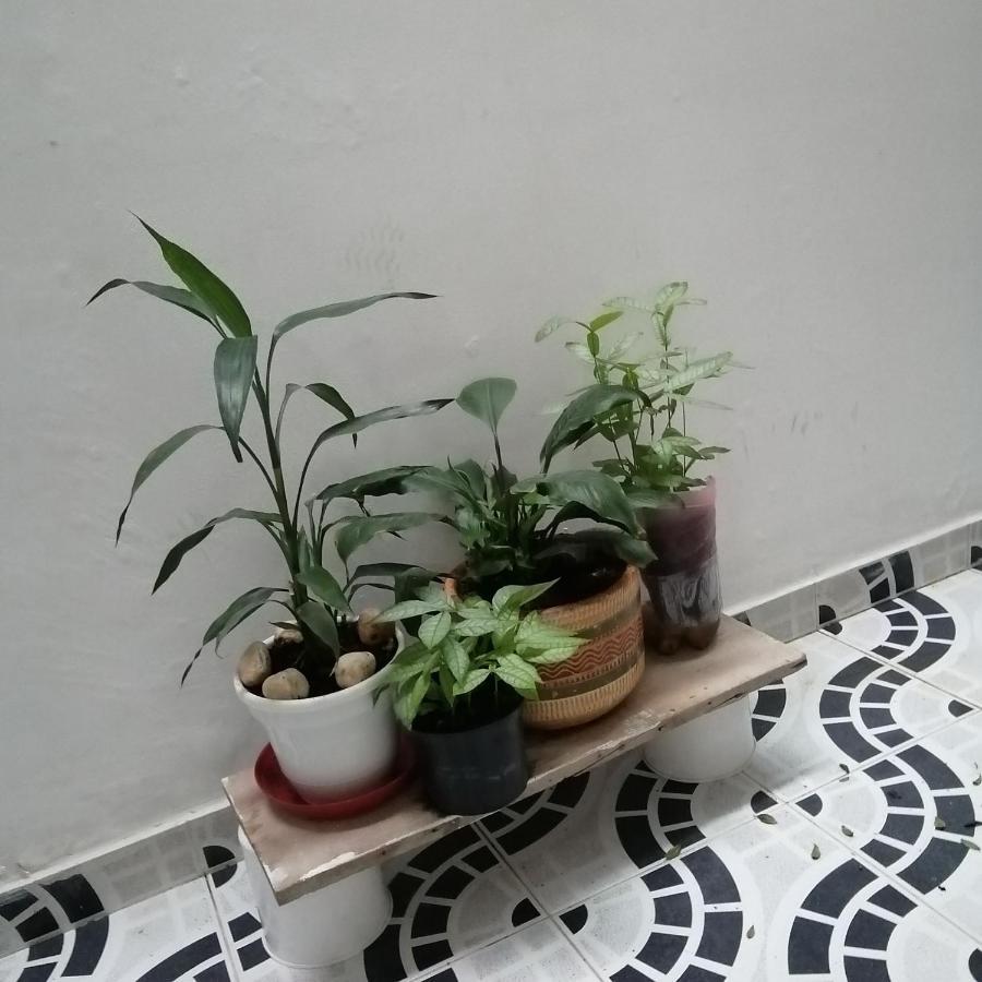 Guest house Casa Villavicencio